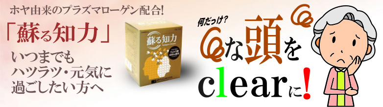 蘇る知力